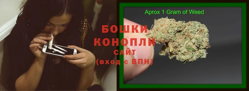 Конопля LSD WEED  наркошоп  Будённовск 